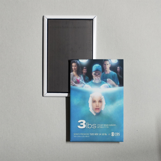 3 LBS TV Show Fridge Magnet