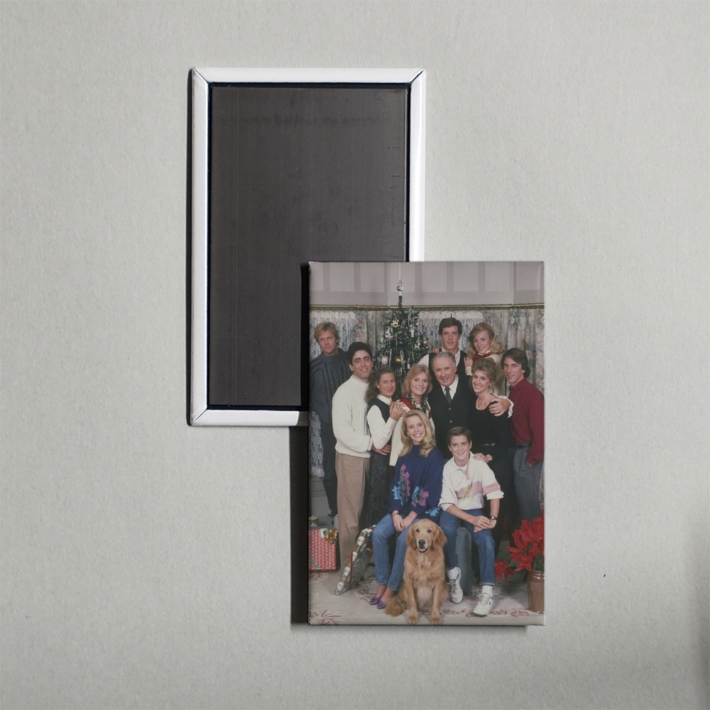A Year in the Life [1987] TV Show Fridge Magnet