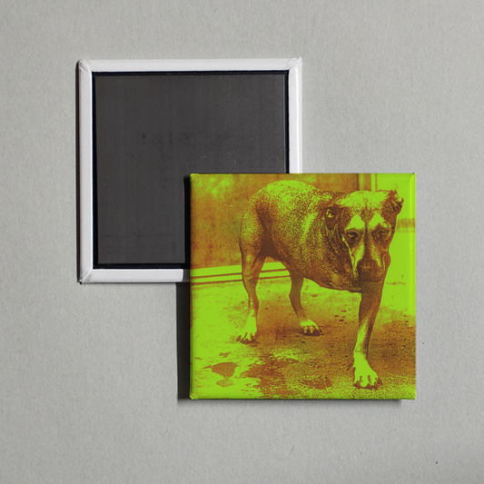 Alice In Chains - Alice In Chains Album Cover Fridge Magnet