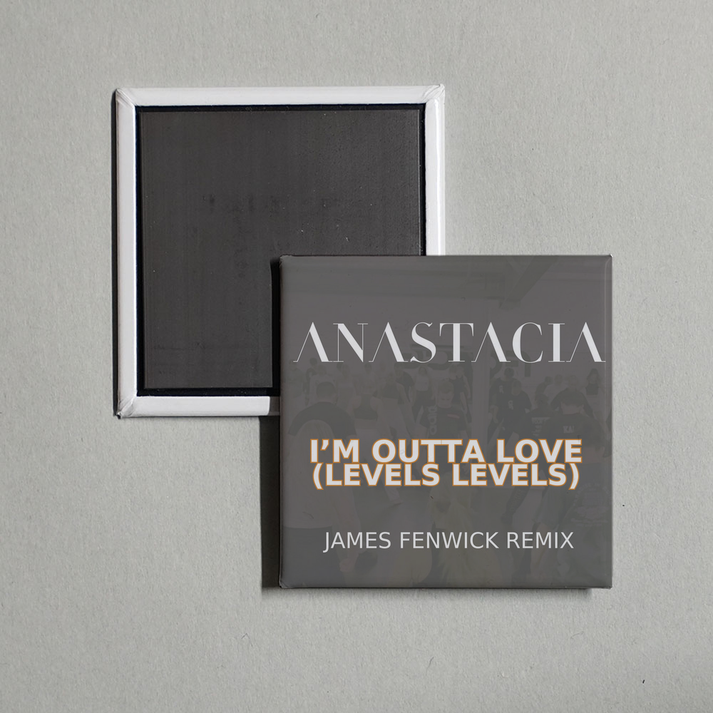 Anastacia - I'm Outta Love (Levels Levels - James Fenwick Remix) Album Cover Fridge Magnet