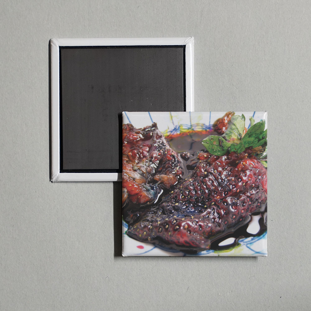 Animal Collective - Strawberry Jam Album Cover Fridge Magnet