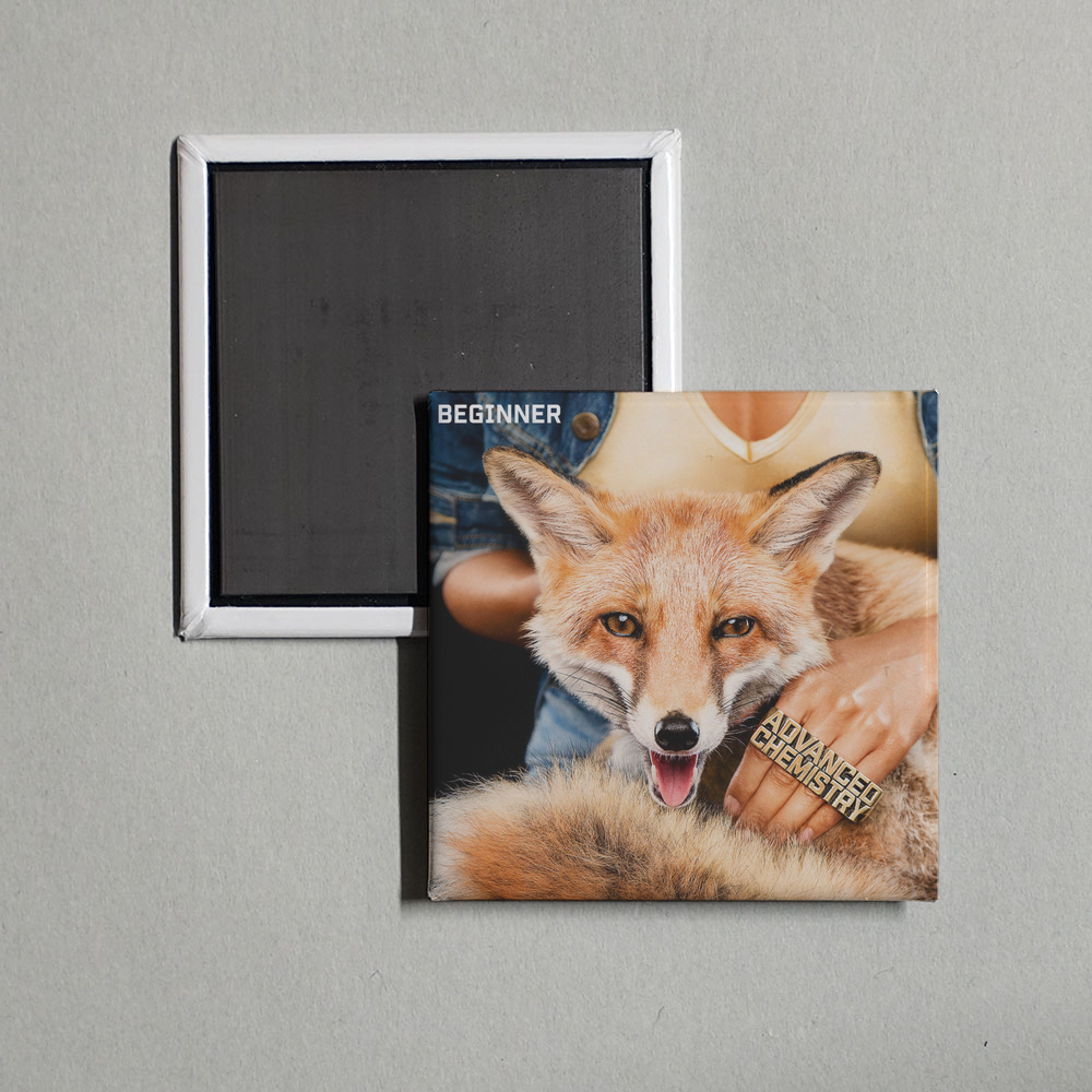 Beginner - Advanced Chemistry Album Cover Fridge Magnet