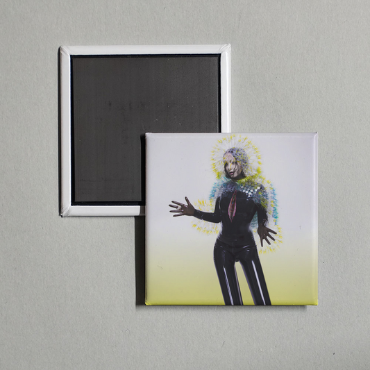 Björk - Vulnicura Album Cover Fridge Magnet