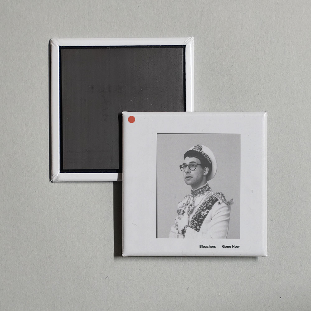 Bleachers - Gone Now Album Cover Fridge Magnet