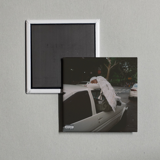 Blood Orange - Negro Swan Album Cover Fridge Magnet