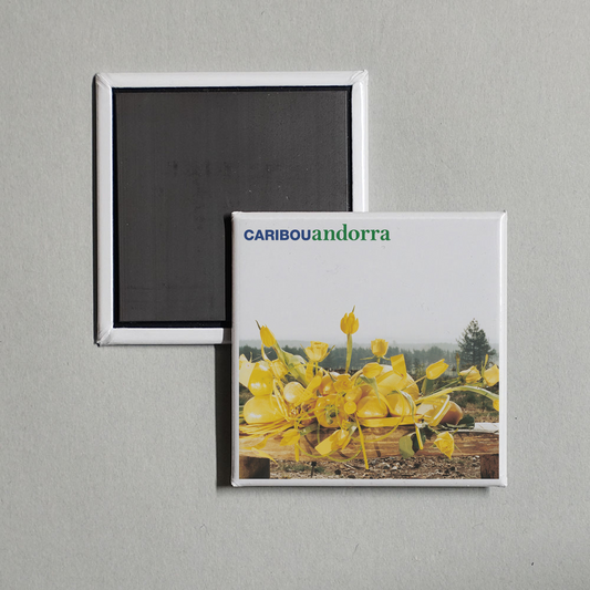 Caribou - Andorra Album Cover Fridge Magnet