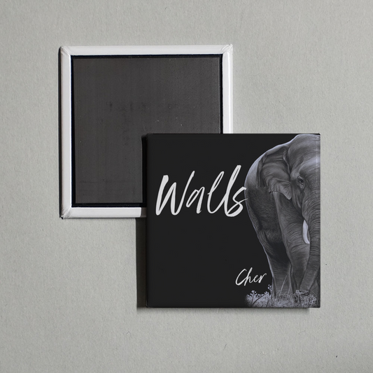 Cher - Walls Album Cover Fridge Magnet