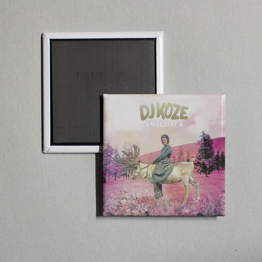DJ Koze - Amygdala (Bonus Track Version) Album Cover Fridge Magnet