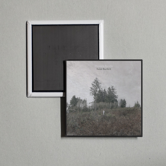 Damien Jurado - Saint Bartlett Album Cover Fridge Magnet