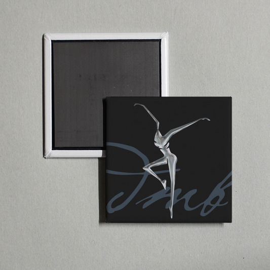 Dave Matthews Band - Stand Up Album Cover Fridge Magnet