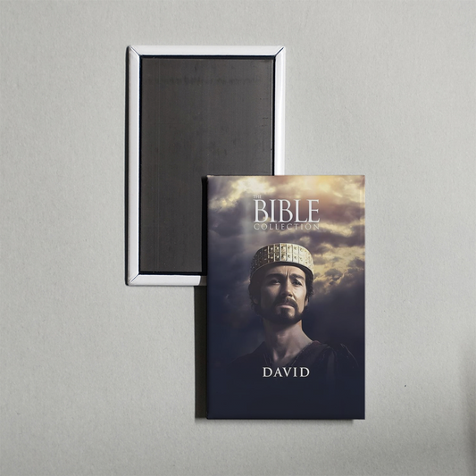 David Mini Movie Fridge Magnet