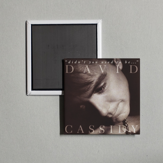 David Cassidy - Didn't You Used To Be... Album Cover Fridge Magnet