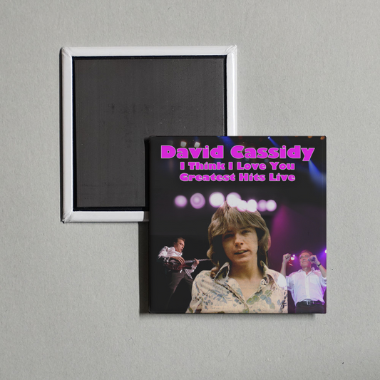 David Cassidy - I Think I Love You - Greatest Hits Live Album Cover Fridge Magnet