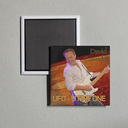 David Cassidy - UFO - U Fine One Album Cover Fridge Magnet