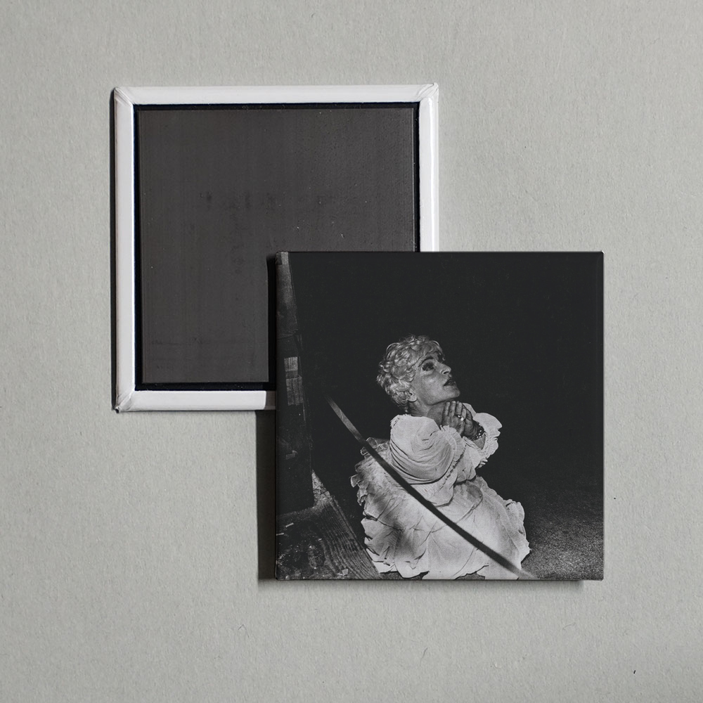 Deerhunter - Halcyon Digest Album Cover Fridge Magnet
