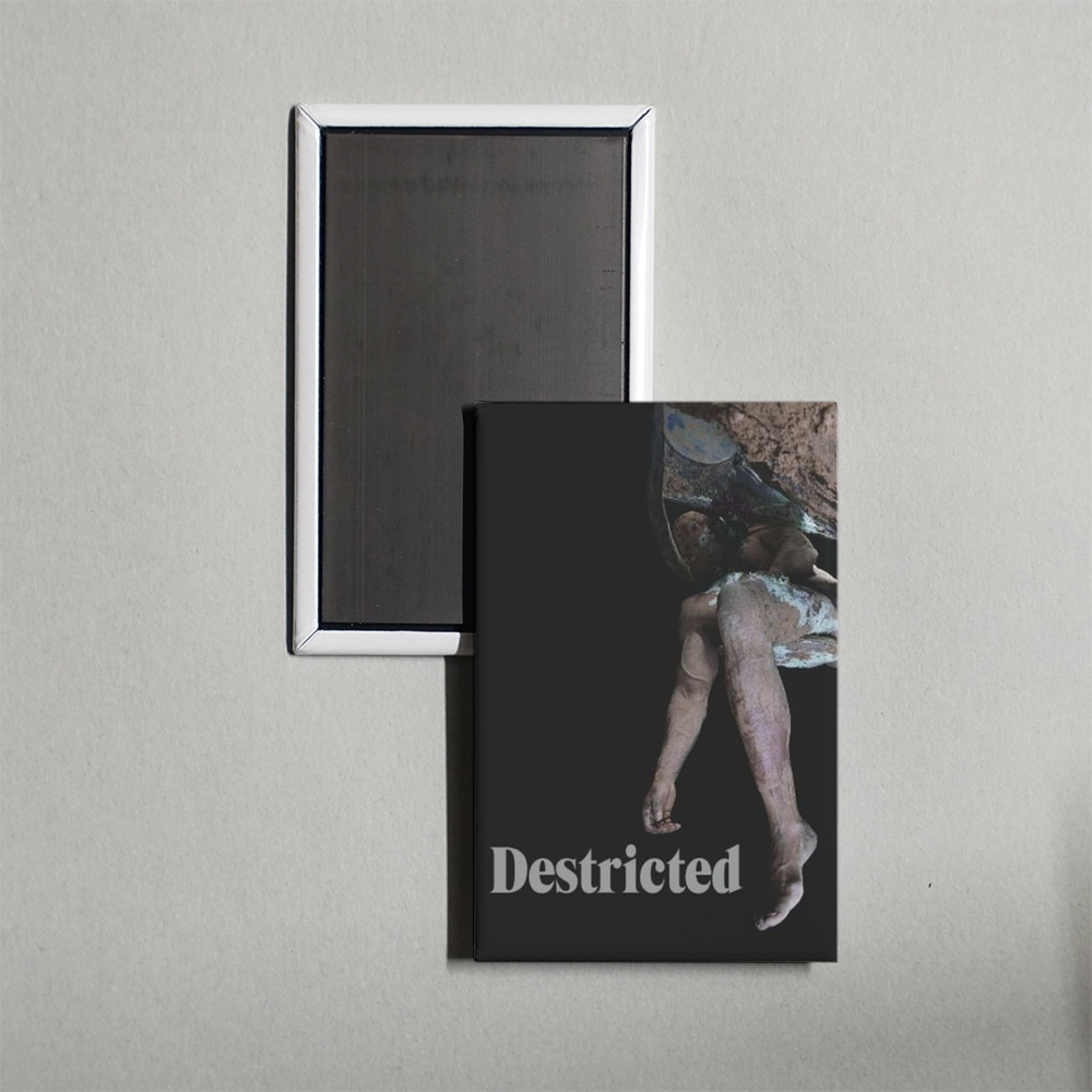 Destricted Mini Movie Fridge Magnet