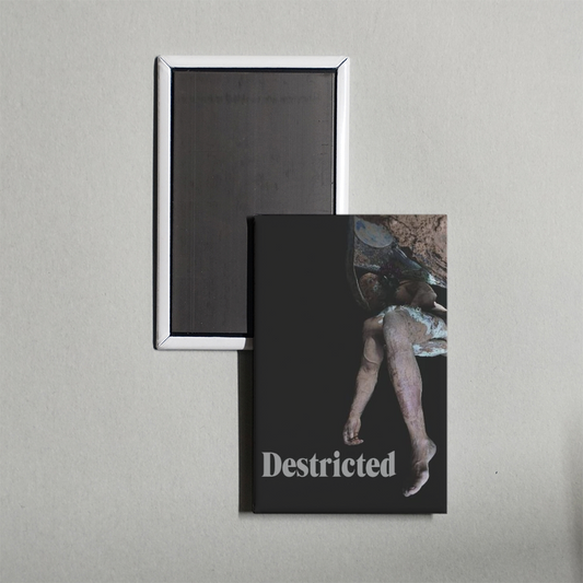 Destricted Mini Movie Fridge Magnet