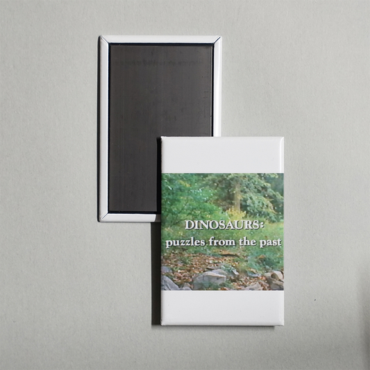 Dinosaurs Puzzles from the Past Mini Movie Fridge Magnet