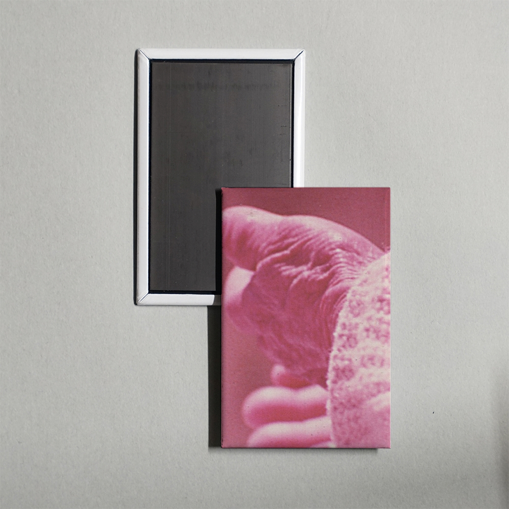 Elasticity Mini Movie Fridge Magnet