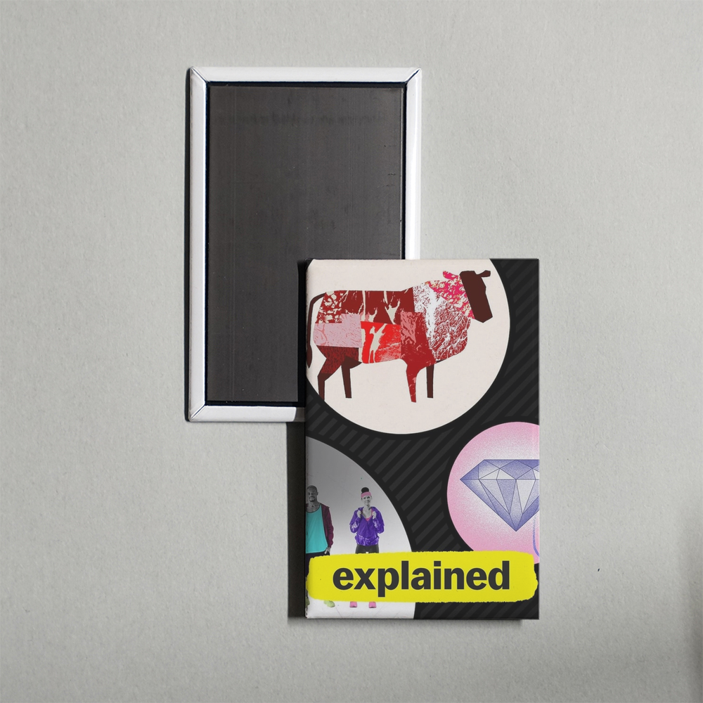 Explained TV Show Fridge Magnet