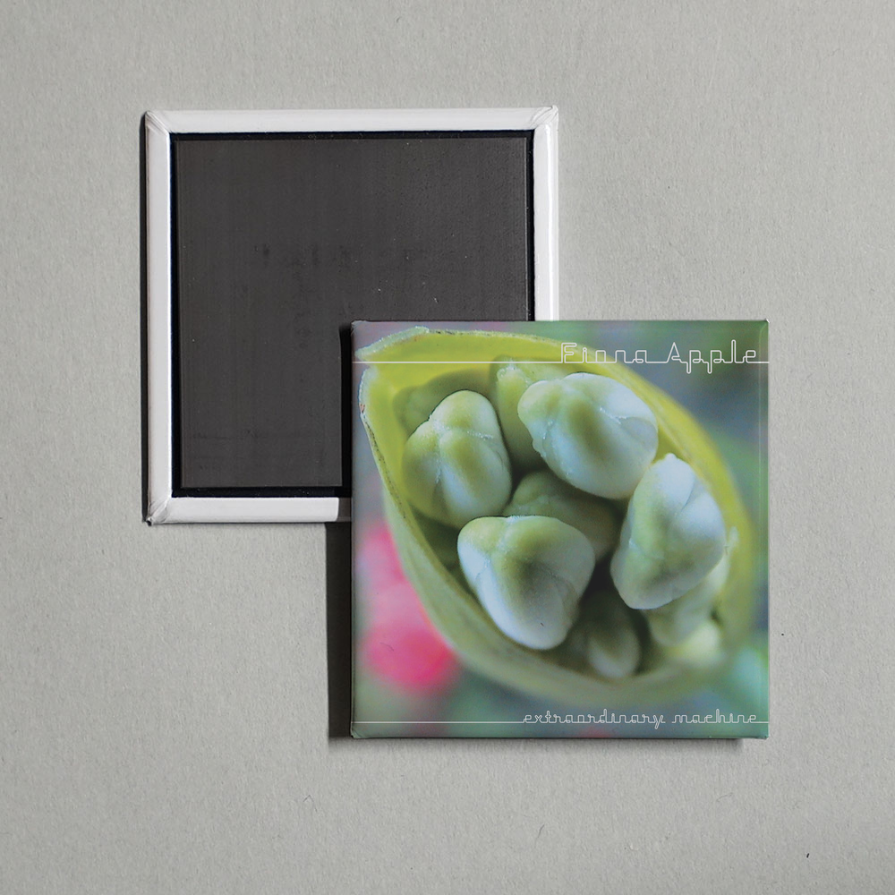 Fiona Apple - Extraordinary Machine Album Cover Fridge Magnet