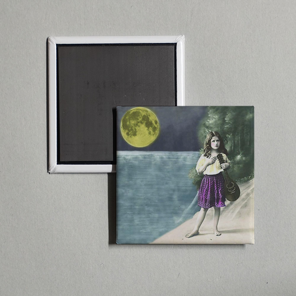 First Aid Kit - The Big Black and the Blue Album Cover Fridge Magnet