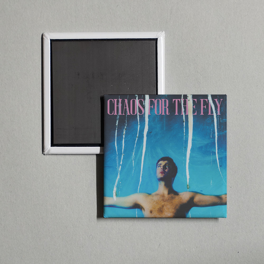 Grian Chatten - Chaos For The Fly Album Cover Fridge Magnet