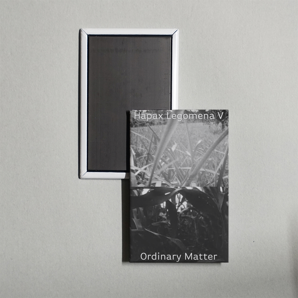 Hapax Legomena V Ordinary Matter Mini Movie Fridge Magnet