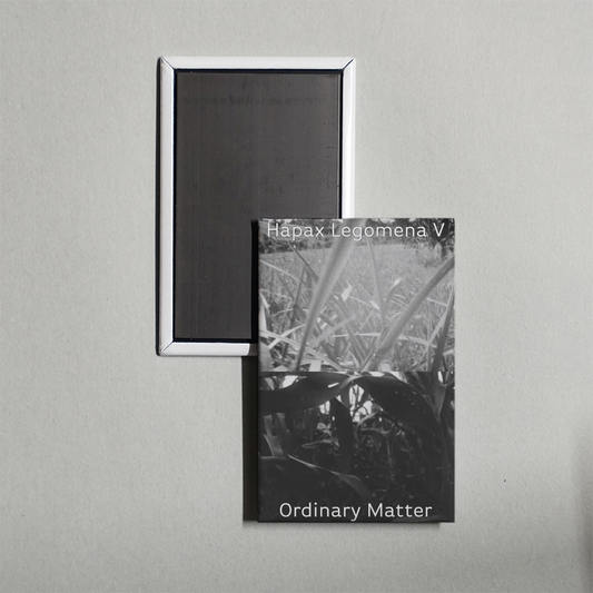 Hapax Legomena V Ordinary Matter Mini Movie Fridge Magnet