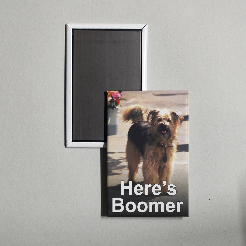 Here's Boomer TV Show Fridge Magnet