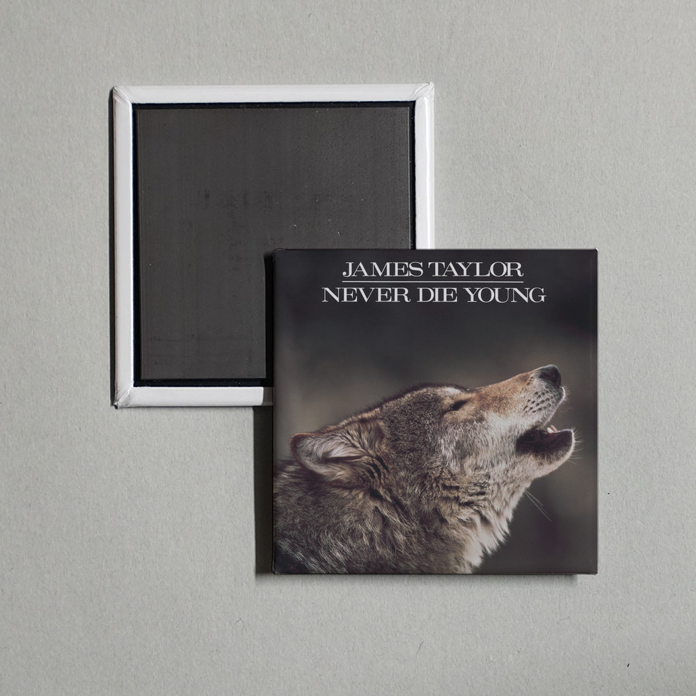 James Taylor - Never Die Young Album Cover Fridge Magnet