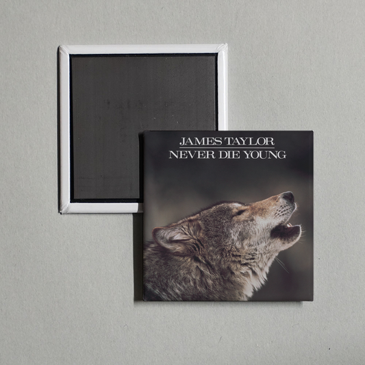 James Taylor - Never Die Young Album Cover Fridge Magnet