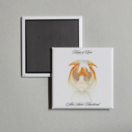 Kings of Leon - Aha Shake Heartbreak Album Cover Fridge Magnet