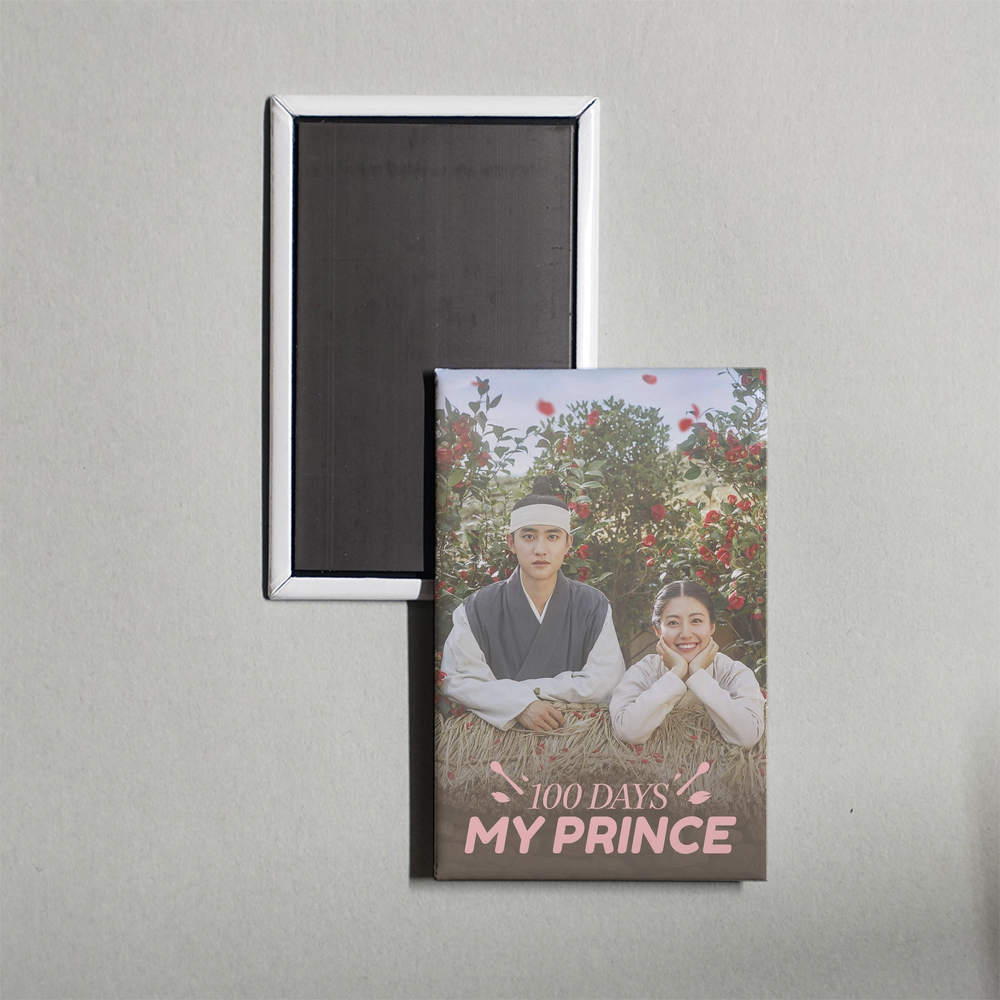 Korean Drama (2018) 100 Days My Prince Mini TV Show Fridge Magnet
