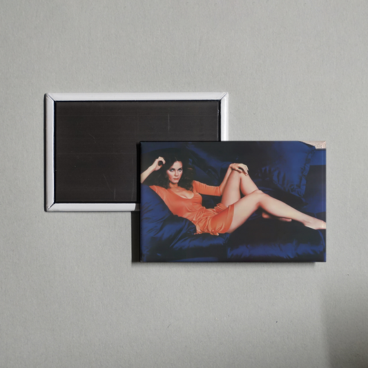Lynda Carter Blue Couch Fridge Magnet