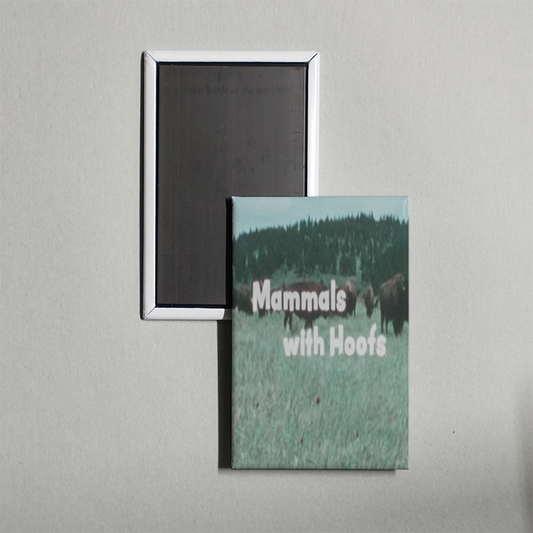 Mammals With Hoofs Mini Movie Fridge Magnet