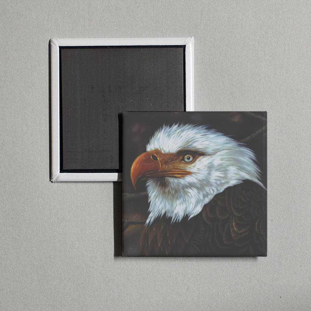 Mogwai - The Hawk Is Howling Album Cover Fridge Magnet