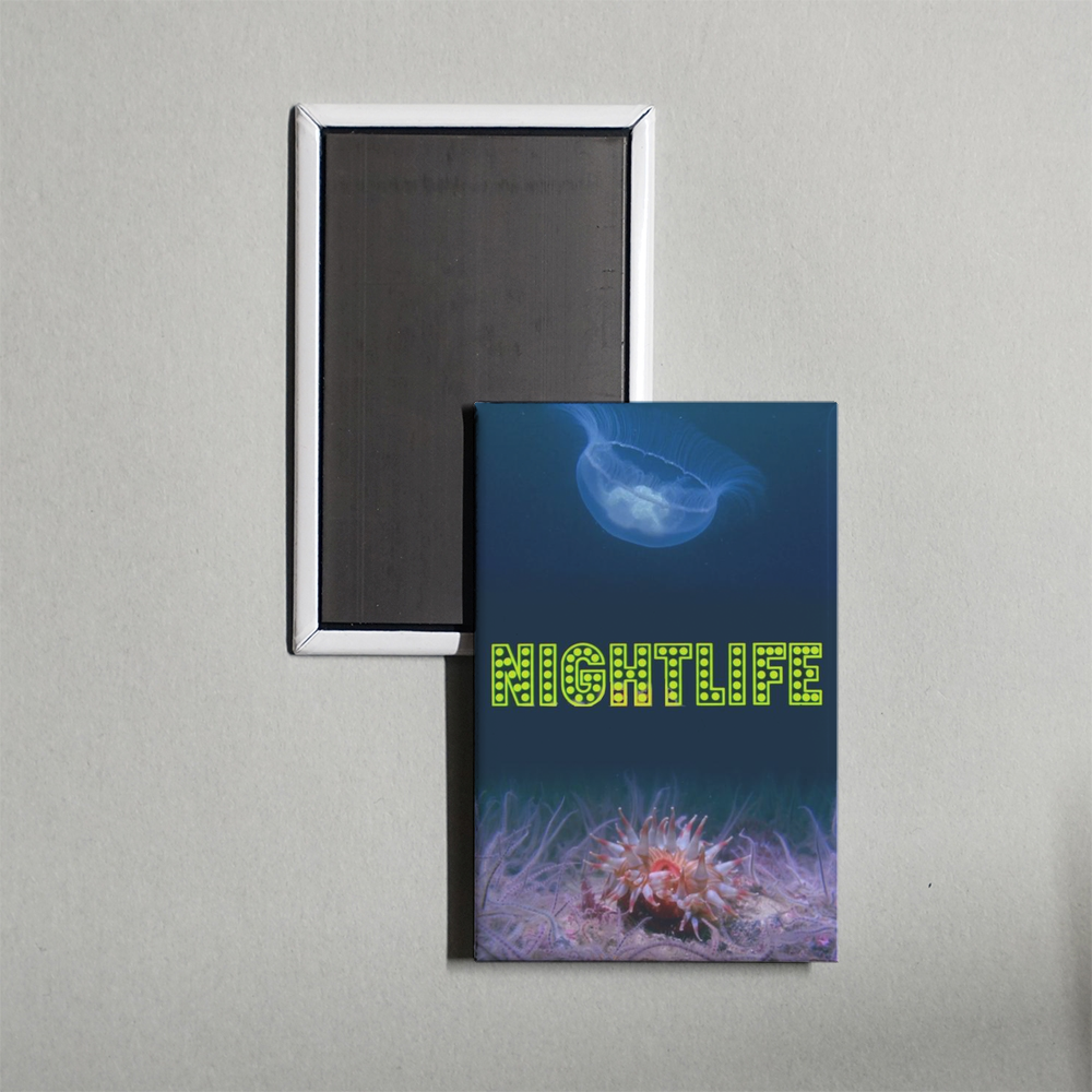 Nightlife Mini Movie Fridge Magnet