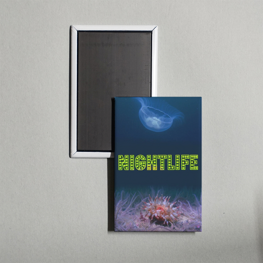 Nightlife Mini Movie Fridge Magnet