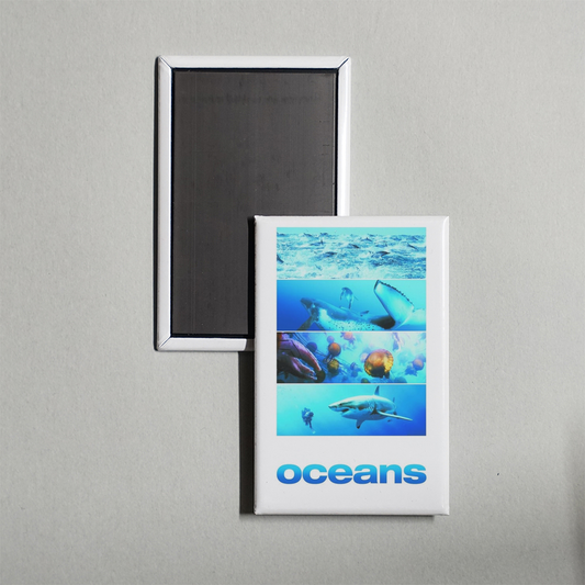 Oceans Mini Movie Fridge Magnet