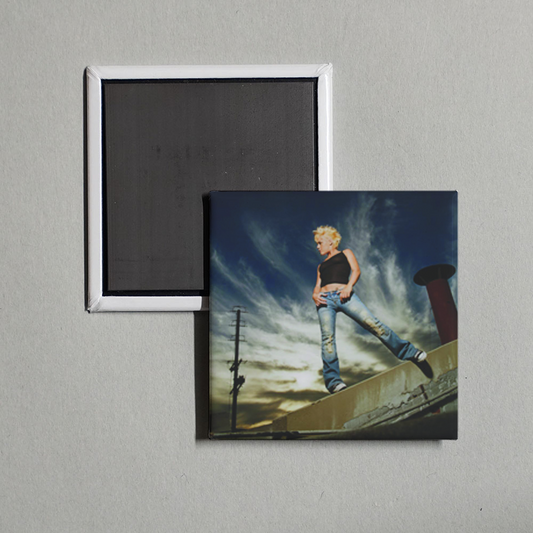 P!nk - God Is A DJ Album Cover Fridge Magnet