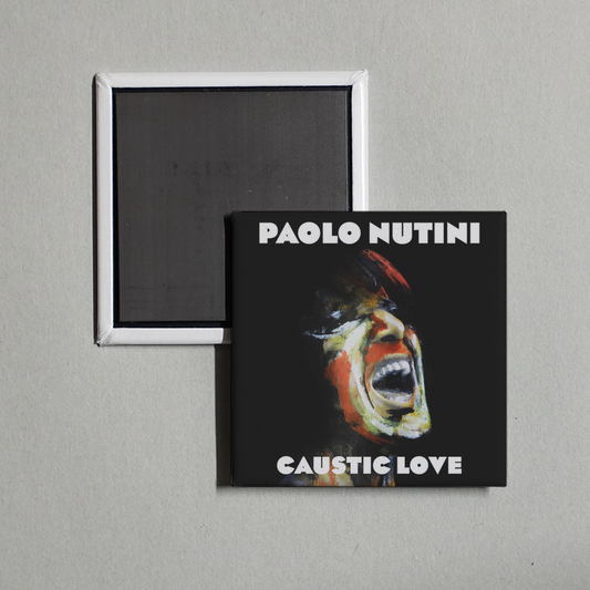 Paolo Nutini - Caustic Love Album Cover Fridge Magnet