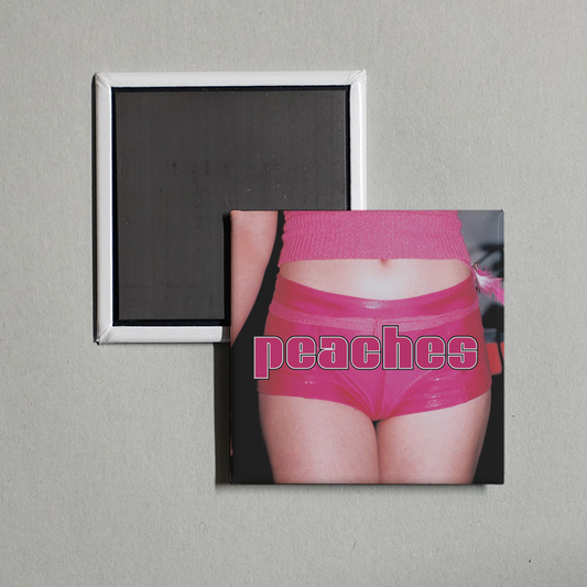 Peaches - The Teaches of Peaches Album Cover Fridge Magnet