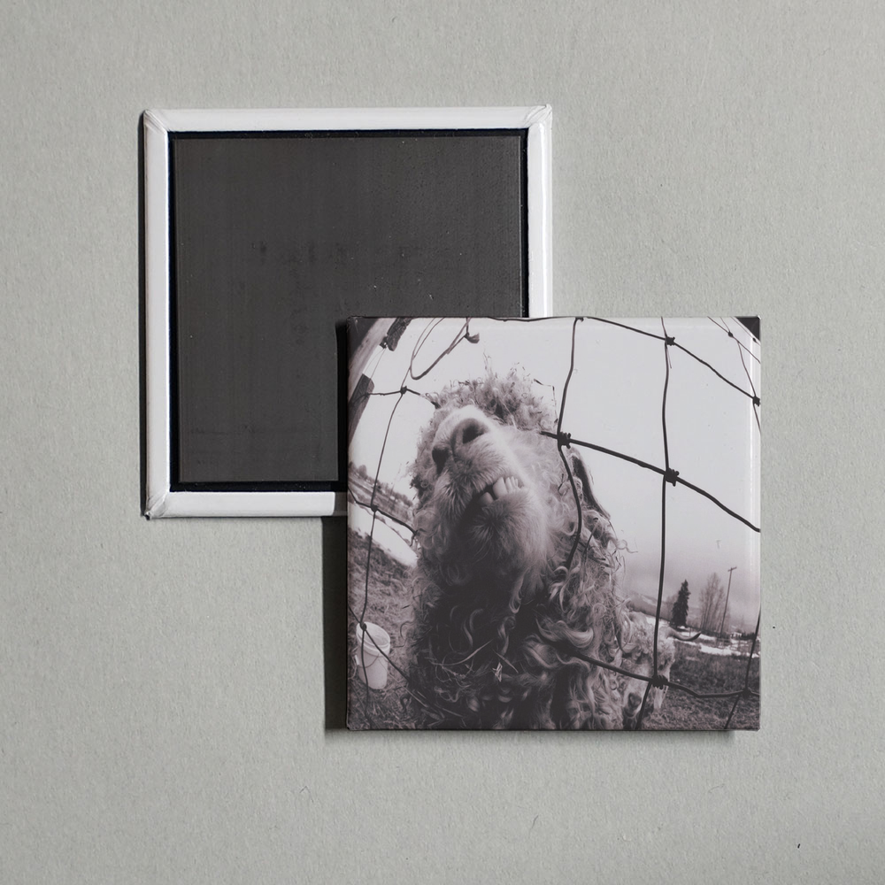 Pearl Jam - Vs. Album Cover Fridge Magnet