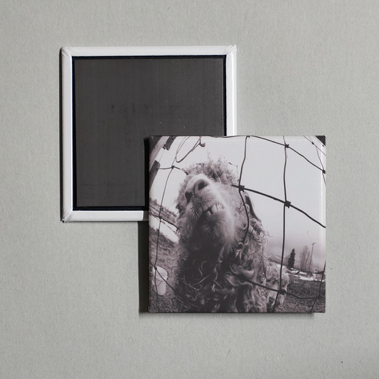 Pearl Jam - Vs. Album Cover Fridge Magnet