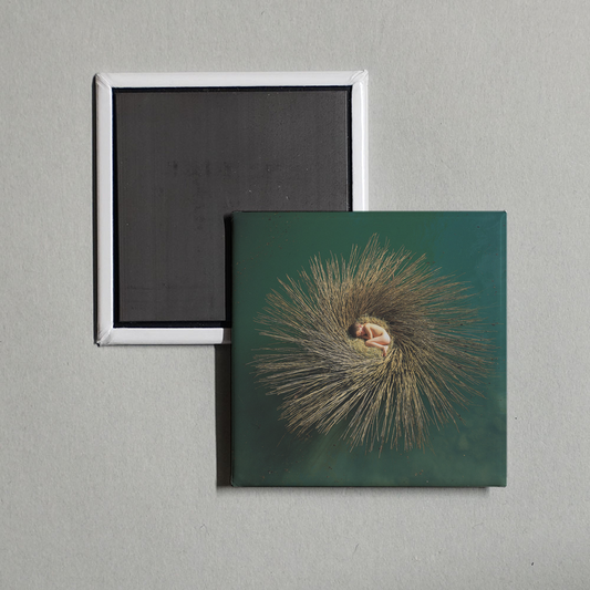Peter Gabriel - OVO Album Cover Fridge Magnet