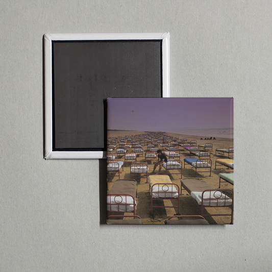 Pink Floyd - A Momentary Lapse of Reason Album Cover Fridge Magnet