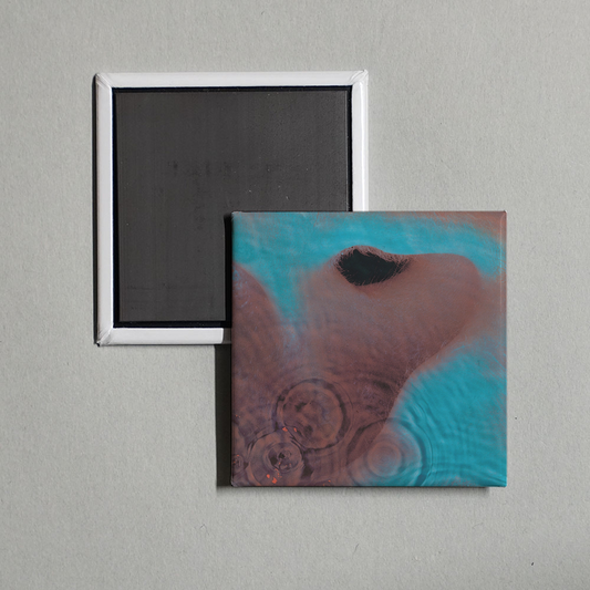 Pink Floyd - Meddle Album Cover Fridge Magnet