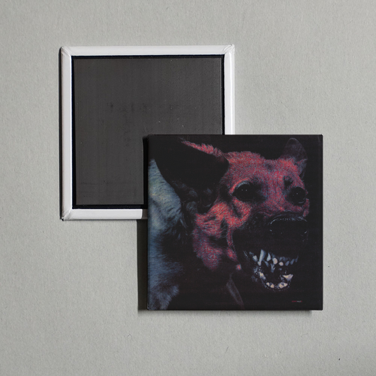 Protomartyr - Under Color of Official Right Album Cover Fridge Magnet