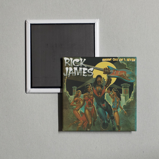 Rick James - Bustin' Out of L Seven (Expanded Edition) Album Cover Fridge Magnet